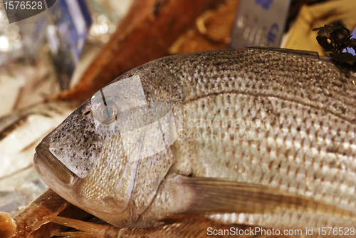 Image of Fish Market, Cannes