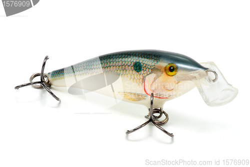 Image of Artificial fish with hooks