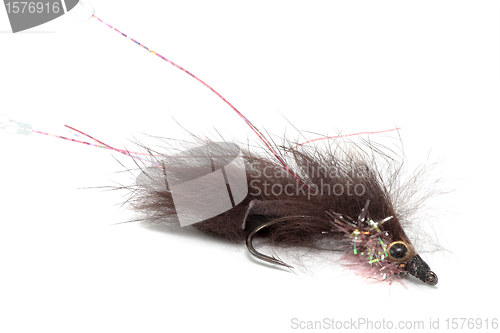 Image of brown streamer