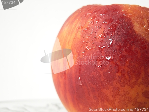 Image of Peach