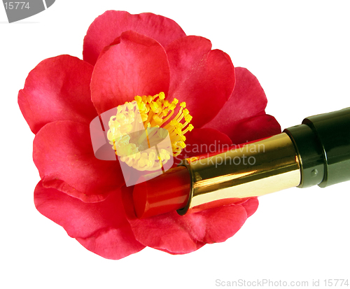 Image of Valentine Special