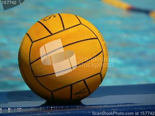 Image of Water Polo