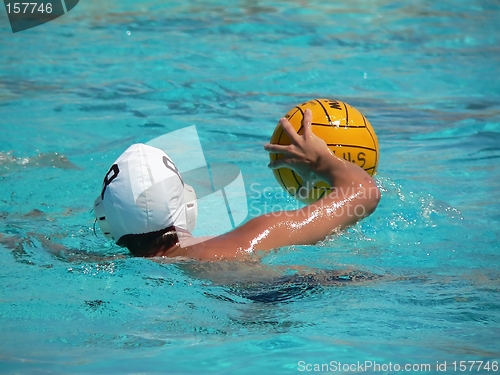 Image of Water Polo