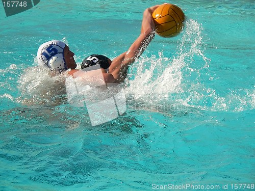 Image of Water Polo