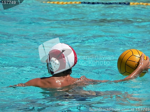 Image of Water Polo