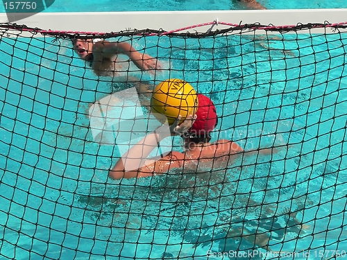 Image of Water Polo