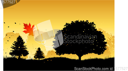 Image of Autumn background design