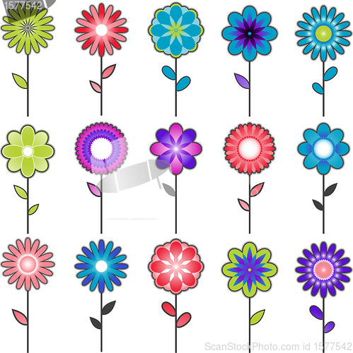 Image of Flower collection design isolated on white