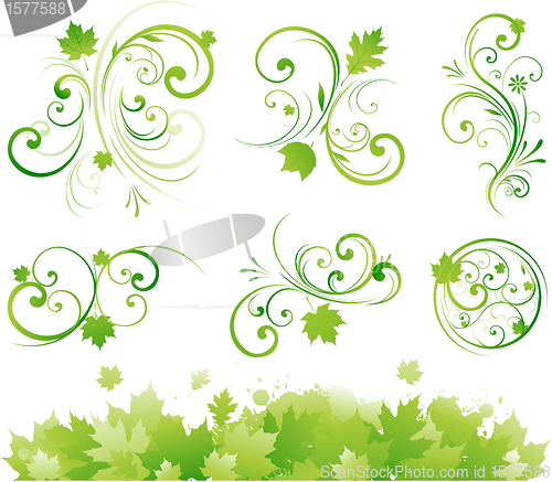 Image of Beauty floral border