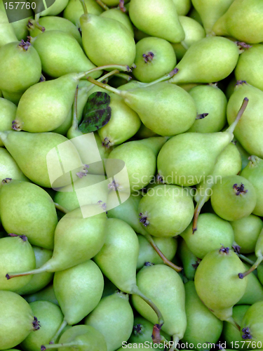 Image of Organic pears