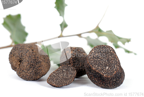 Image of truffles