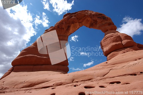 Image of Delicate arch