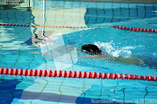 Image of man swimming in pool