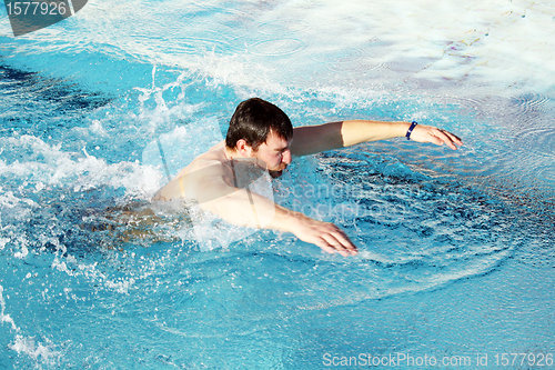 Image of swimming butterfly in swimming pool