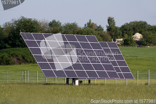 Image of solar plants in the field