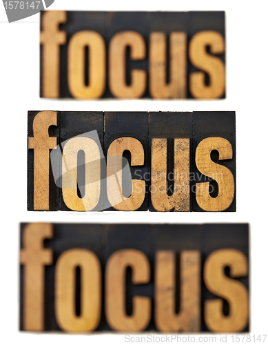 Image of focus concept in wood type