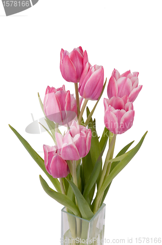 Image of Zoom on a bunch of Tulips in a vase (top view)
