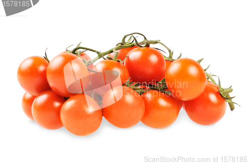 Image of Bunch of cherry tomatoes
