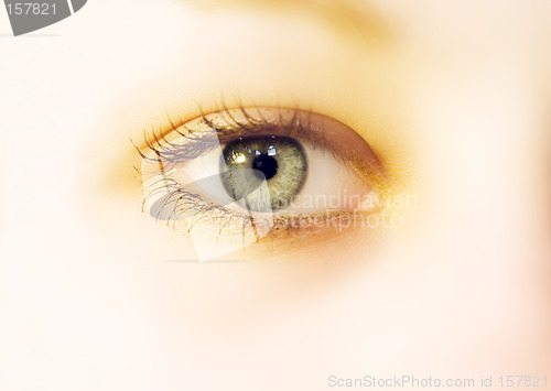 Image of Eye soft