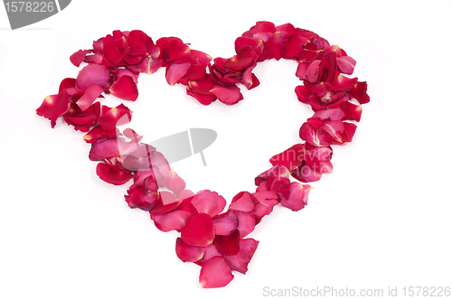 Image of Petal Heart