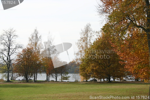 Image of Autumn park