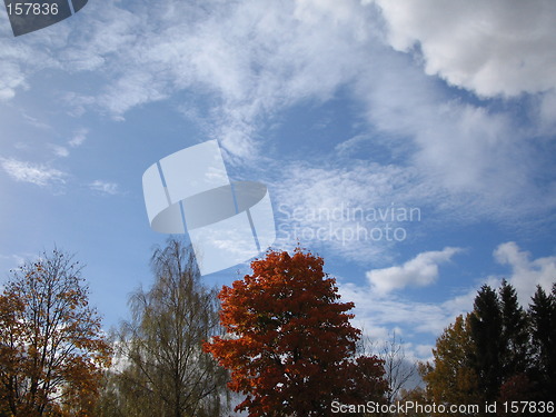 Image of Autumn skyline