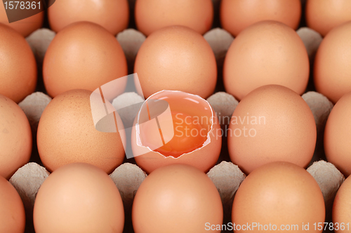 Image of Eggs in a box