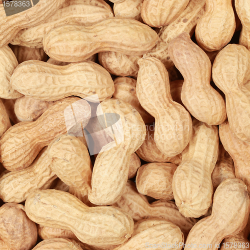 Image of Peanuts