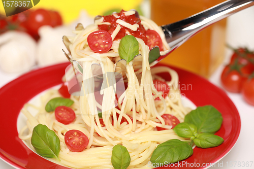 Image of Fresh Spaghetti