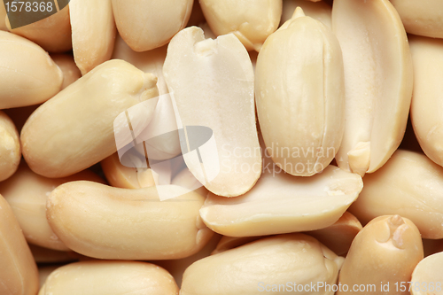 Image of Peanuts