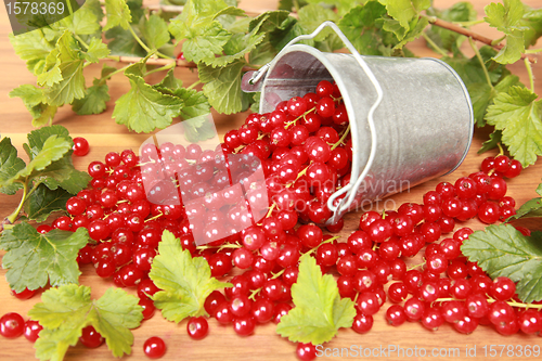 Image of Red currants