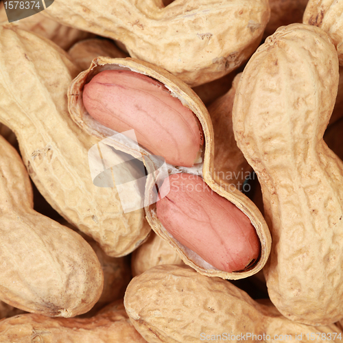 Image of Peanuts