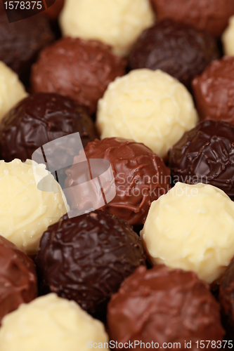 Image of Chocolate Pralines