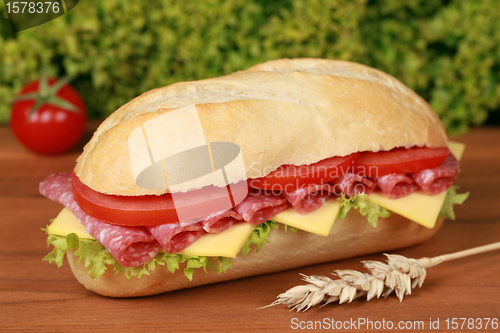 Image of Salami Sandwich