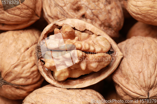 Image of Walnuts