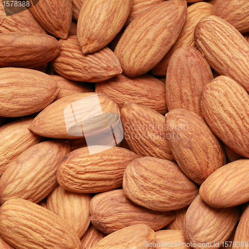 Image of Almonds