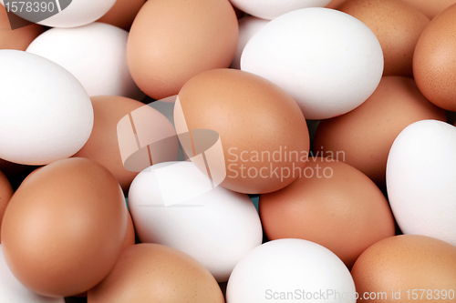 Image of White and brown eggs