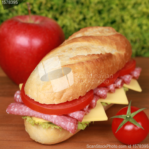 Image of Salami Sandwich