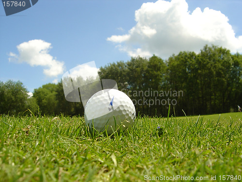 Image of Ball in the rough
