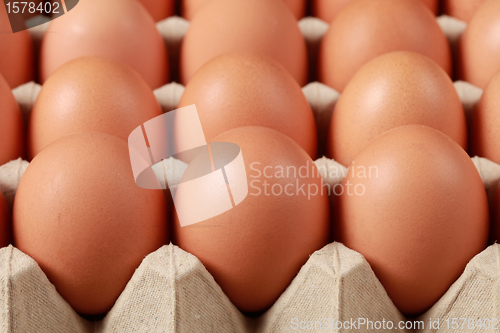 Image of Eggs in a box