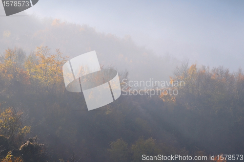 Image of Foggy Hilly Landscape