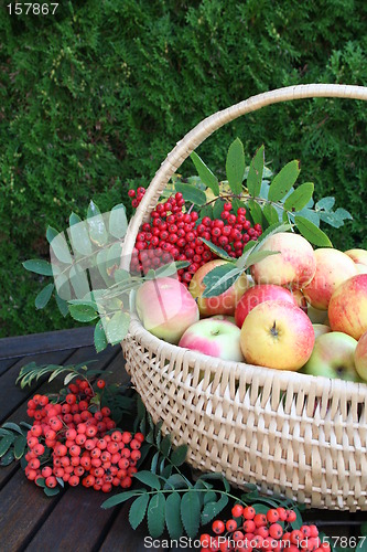 Image of Fruit basket