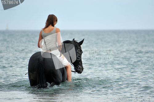 Image of horseback riding in the sea