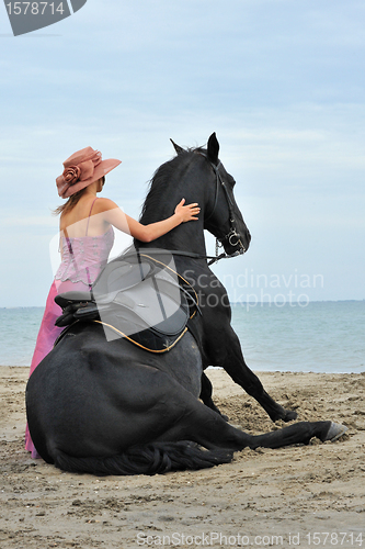 Image of sitting horse on the beach