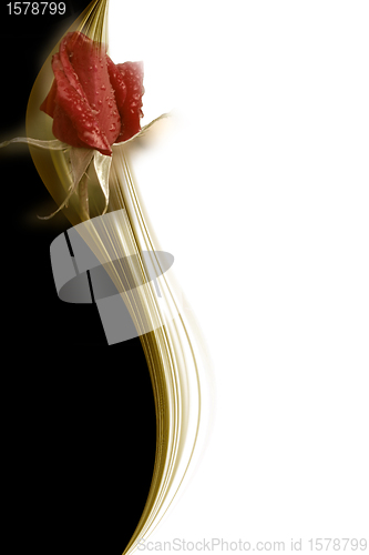 Image of red rose romantic card 