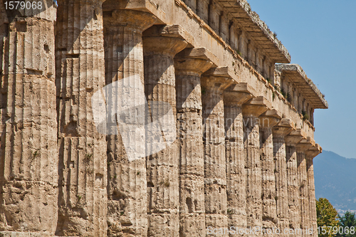 Image of Paestum temple - Italy