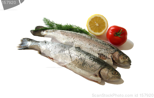Image of Fish is healthy
