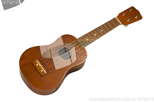 Image of Hawaiian guitar