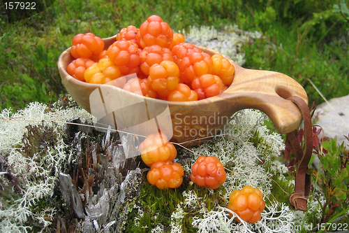 Image of Cloudberries in a wooden cup