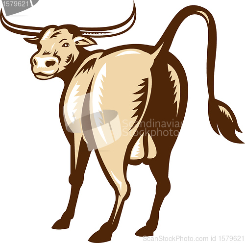 Image of Texas Longhorn Bull Rear View Retro